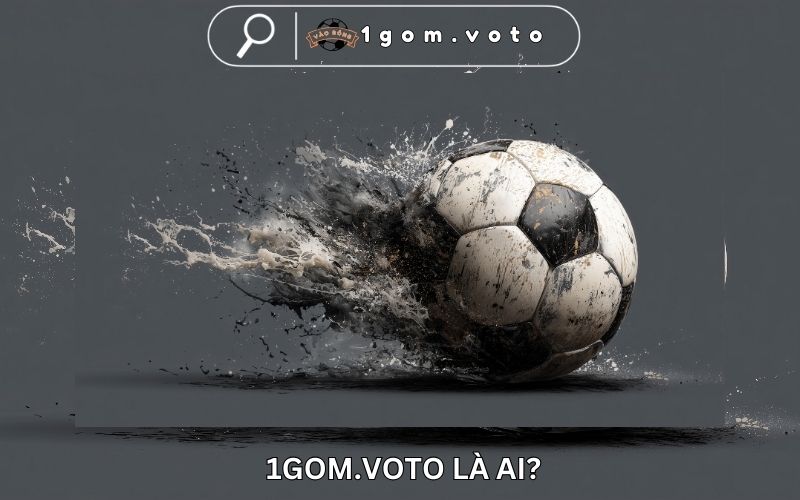 1gom.voto là ai?