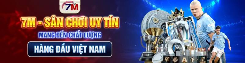 7m là gì? Tổng quan về hệ thống dữ liệu bóng đá
