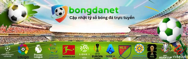 BongDaNET là gì?