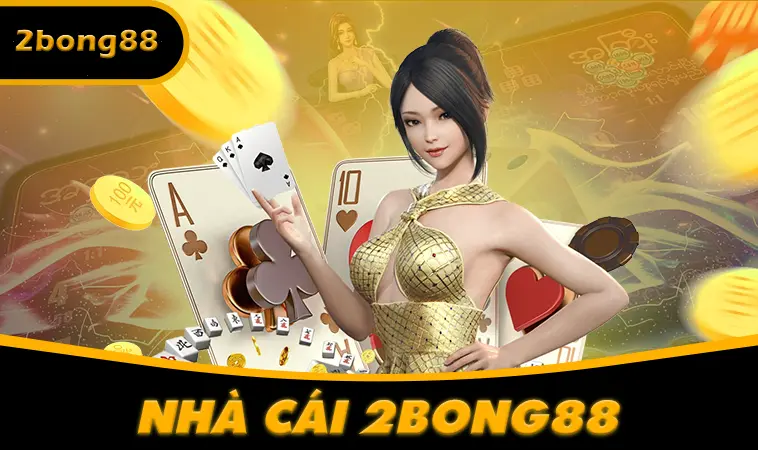 Không chỉ là link – 2bong còn cung cấp gì?