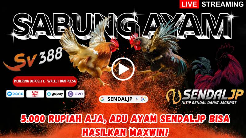 Sv388 là gì? Tổng quan về nhà cái đá gà trực tiếp